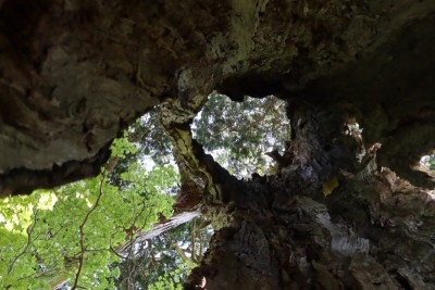 tmp_imgresize (13).jpg