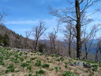 16842495392936 - コピー.jpg