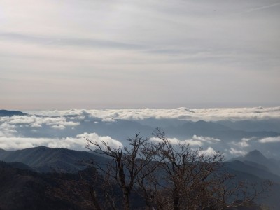 1684248934321 - コピー.jpg