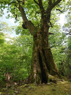 16842494368721 - コピー.jpg