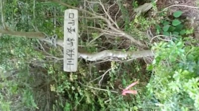 林道からの登山口看板設置