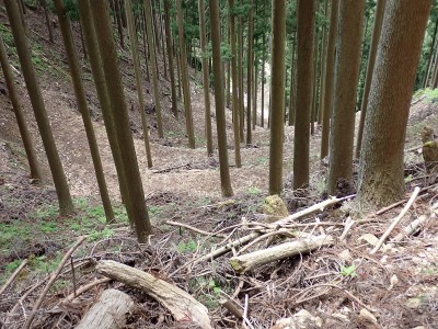 九十九折のキャタピラ道