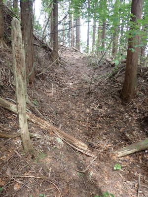 P5280079.JPG (355.18 KiB) 閲覧された回数 6983 回 牛道