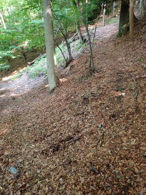 庄司峠の九十九折