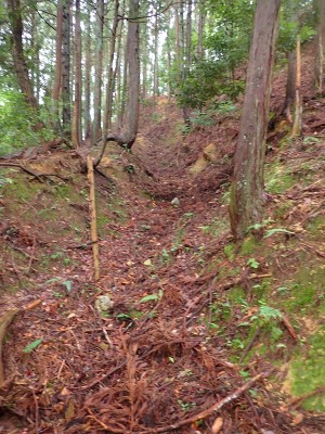 P7150010.JPG (314.85 KiB) 閲覧された回数 5073 回 桃ノ木尾の牛道