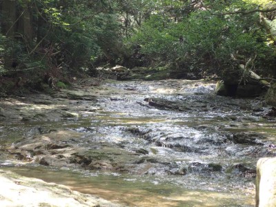 P7210017.jpg (106.38 KiB) 閲覧された回数 4428 回 赤ナメ