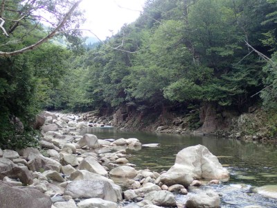 P7210023.jpg (100.07 KiB) 閲覧された回数 4425 回 神崎川