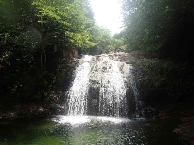 P7210039.jpg (71.85 KiB) 閲覧された回数 4426 回 6mすだれ状の滝