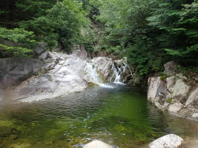 P7210043.jpg (100.35 KiB) 閲覧された回数 4426 回 エメラルドグリーンの淵