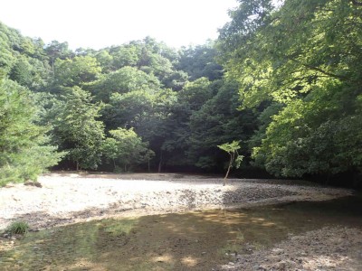 P8020021.jpg (97.14 KiB) 閲覧された回数 6017 回 大堰堤の上流