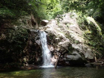 P8020049.jpg (110.49 KiB) 閲覧された回数 6023 回 白雲の滝