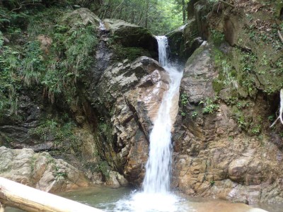 P8020060.jpg (107.78 KiB) 閲覧された回数 6017 回 5m滝