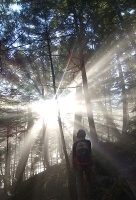 登り始まてすぐに朝日を受ける