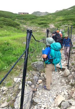 仙丈小屋の下で雷鳥撮影会