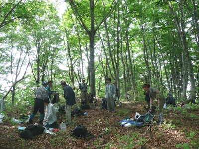 14年前のピーク