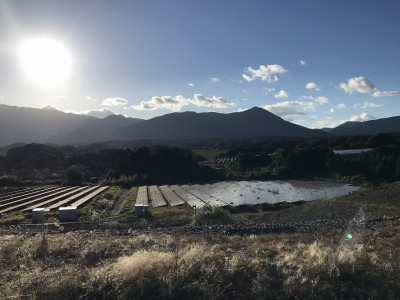 烏帽子岳 梅林公園から