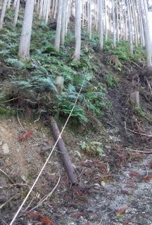 林道から伸びるロープs.jpg