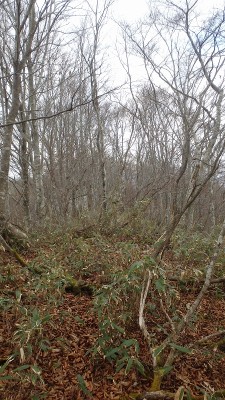 PB150086.jpg (509.54 KiB) 閲覧された回数 4750 回 北尾根