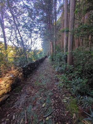石垣が続く。何の跡なんだろう