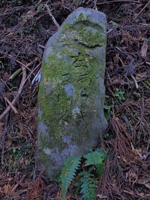 山中のあららぎ道の道標