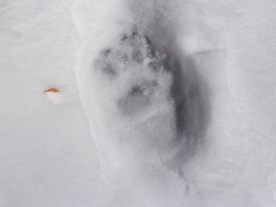 20231224-17.jpg (44.37 KiB) 閲覧された回数 8457 回 20231224-17.jpg