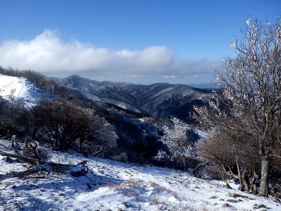 木梶吊り尾根も霧氷が付いていただろうな。