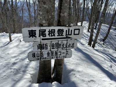 東尾根コースとの合流点である。