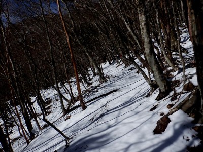 ヌタハラ山腹道