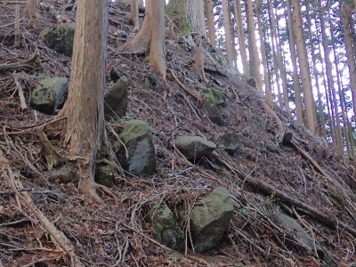 剣ヶ峯城の土塁