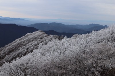 tmp_imgresize (2).jpg