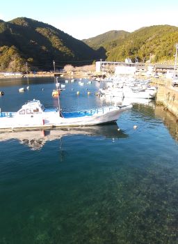 九鬼漁港の静かな雰囲気