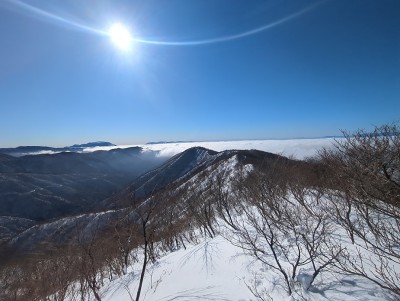 琵琶湖が雲海で埋まってる