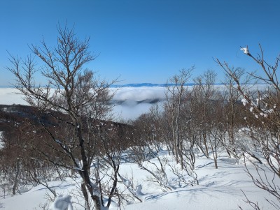 幻想的な世界が広がる