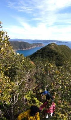 赤石花への断崖絶壁を歩くs.jpg (33.35 KiB) 閲覧された回数 2193 回 シダ漕ぎしながらの尾根道