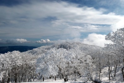 御池岳（丸山）から霧氷を眺める