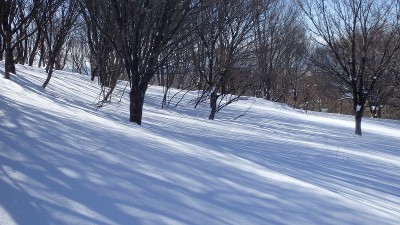 P1290437.jpg (399.63 KiB) 閲覧された回数 6438 回 光と影のページェント