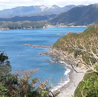 尾根からシジラミ浜を見下ろす