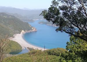 座佐の高の稜線から浜を見下ろす