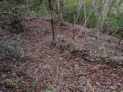 古和越の九十九折の道