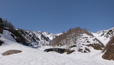 弓ヶ洞谷二俣から稜線を望む