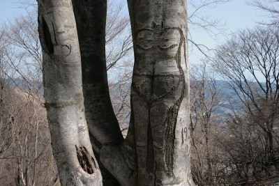 孫太尾根の芸術？