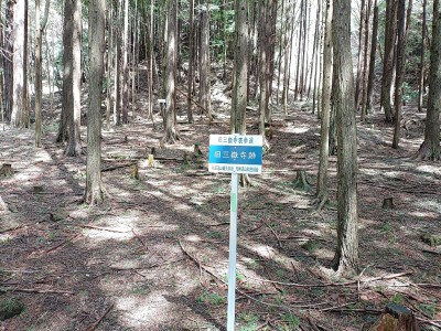 旧三嶽寺跡.jpg (476.27 KiB) 閲覧された回数 9686 回 旧三嶽寺跡