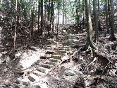 鐘突堂への石段.jpg (434.99 KiB) 閲覧された回数 9700 回 鐘突堂への石段