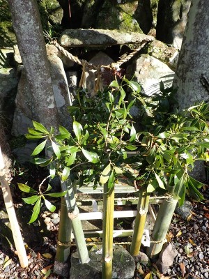 舟戸の猿田彦さん