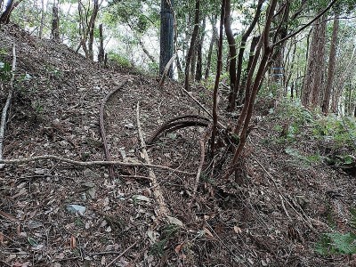 発電設備電柱の所に索道ワイヤー