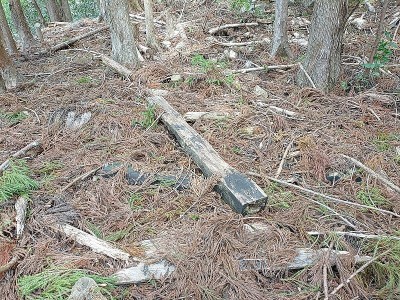 2024-03-20_10-48-01.jpg (309.29 KiB) 閲覧された回数 2785 回 製材された木材