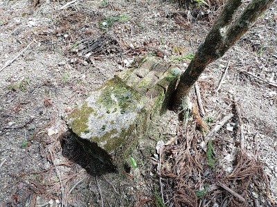 2024-03-20_11-34-01~2.jpg (317.67 KiB) 閲覧された回数 2780 回 レンガとモルタルの何か?