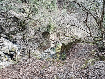 2024-03-20_13-04-56~2.jpg (322.7 KiB) 閲覧された回数 2785 回 橋脚