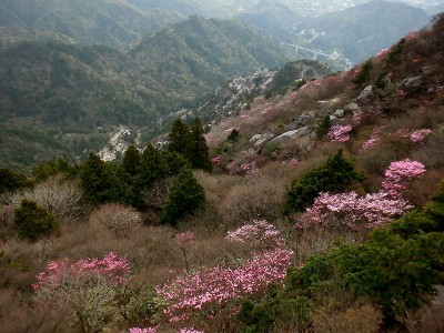 ３年前の御在所中道