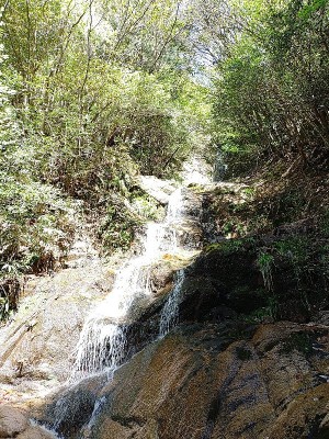 下不動滝（矢原の滝？）